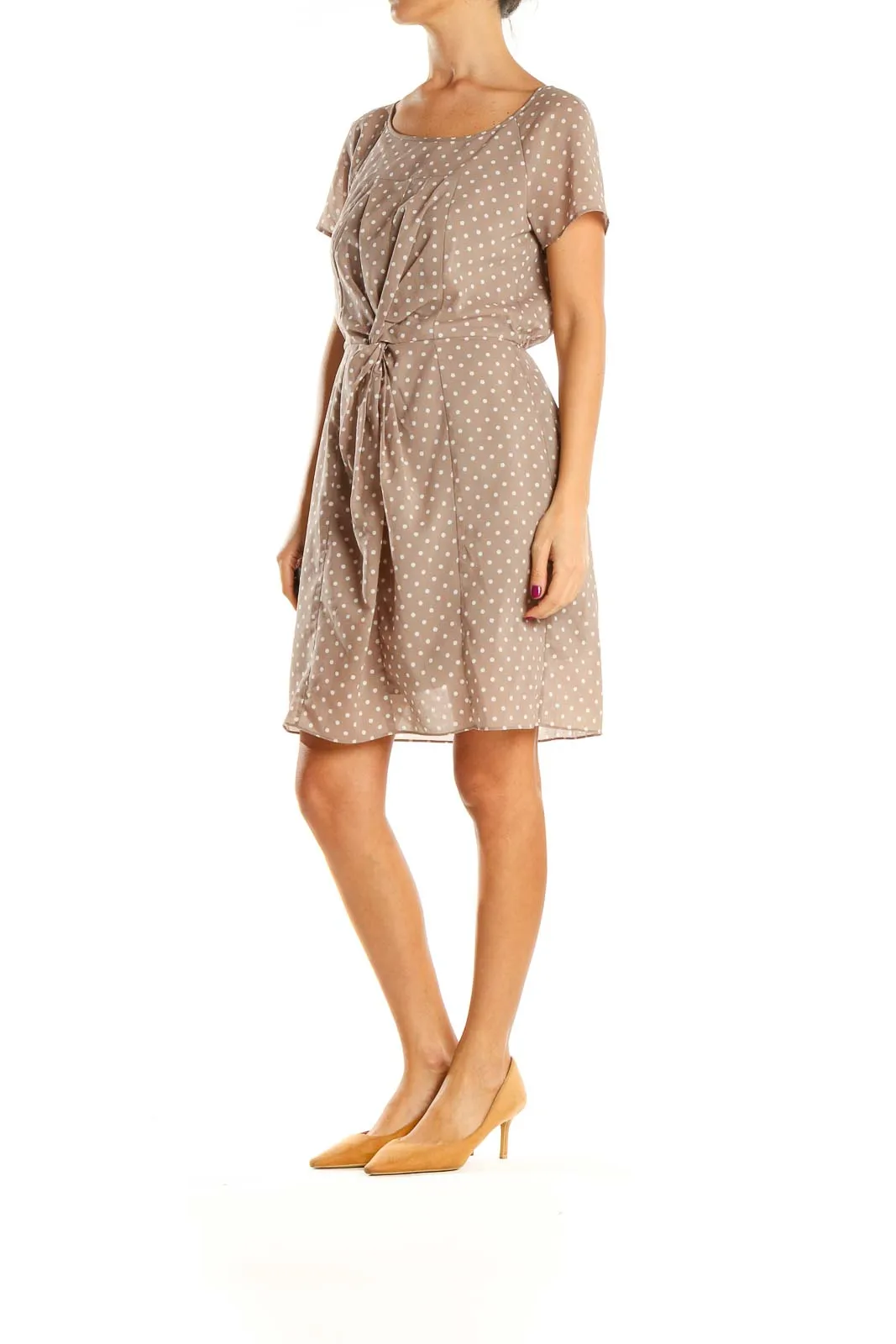 Brown Polka Dot Day Fit & Flare Dress